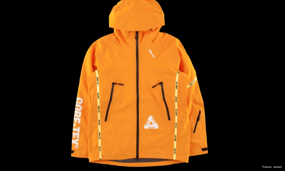 Affordable Palace Palex Jacket Gore-Tex 0818